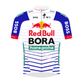 Red Bull - BORA